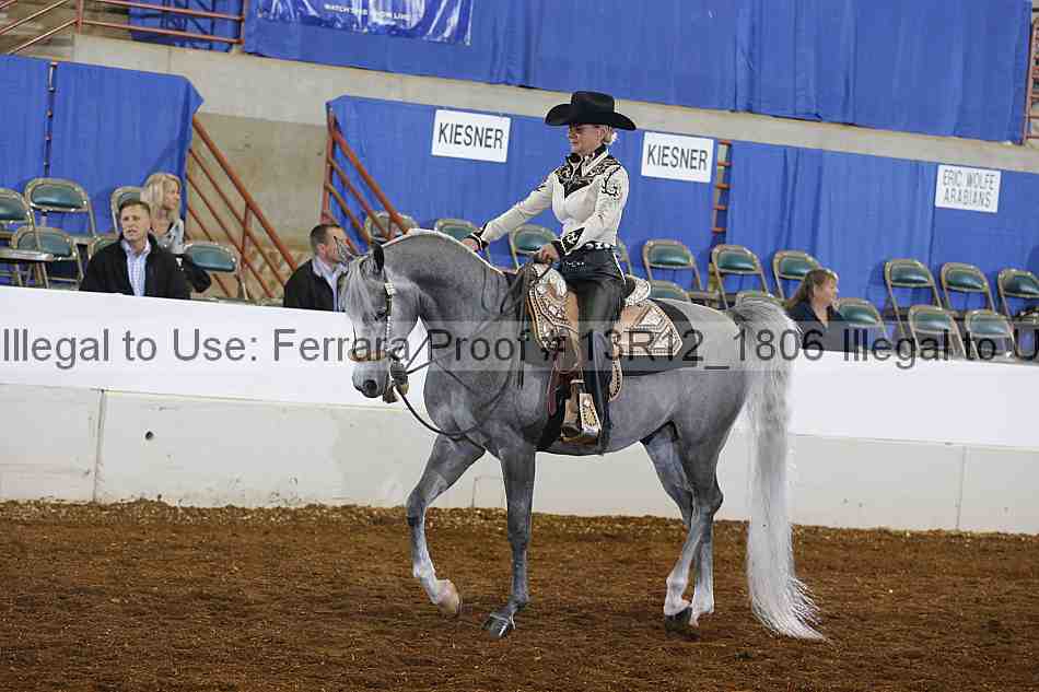 Proof Number 13r12_1806