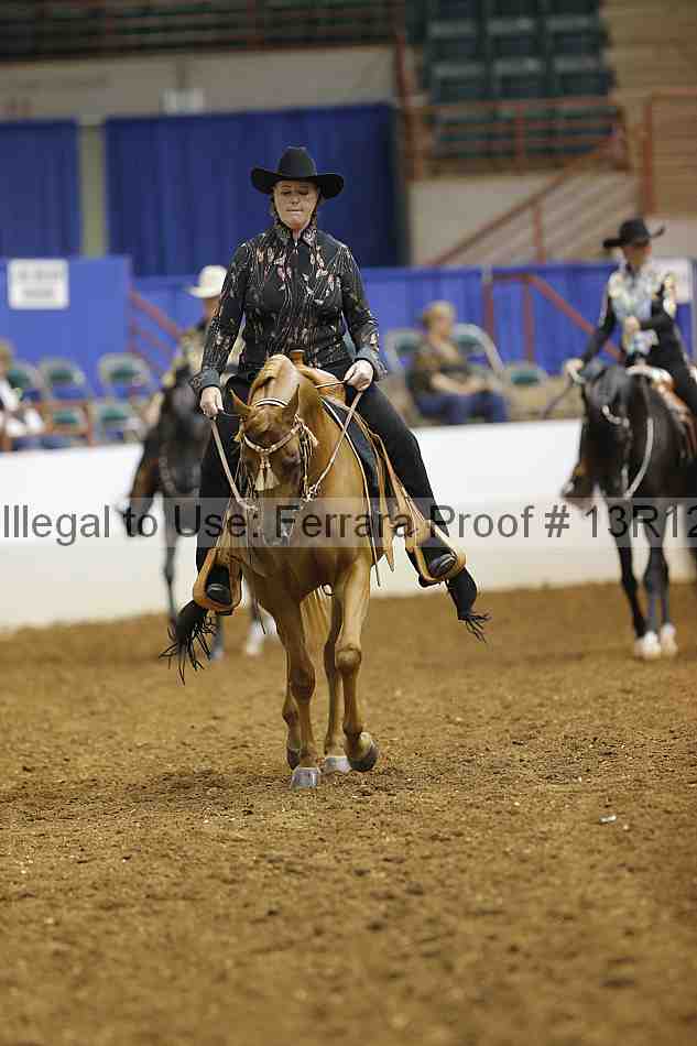 Proof Number 13r12_1808