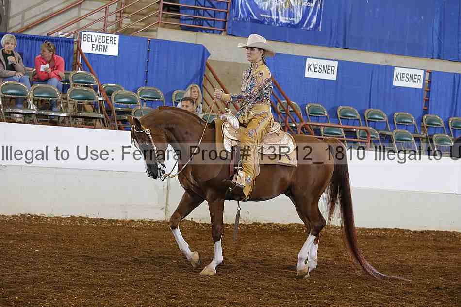 Proof Number 13r12_1810