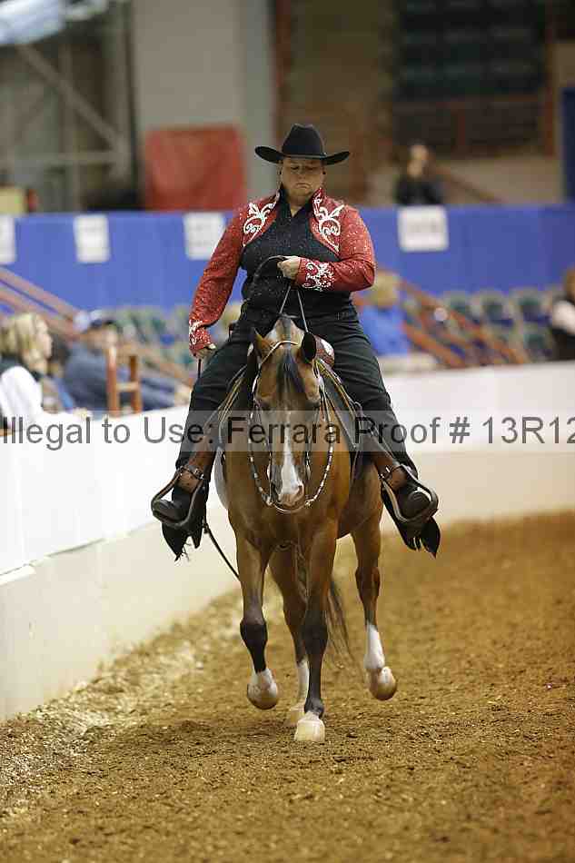 Proof Number 13r12_1813