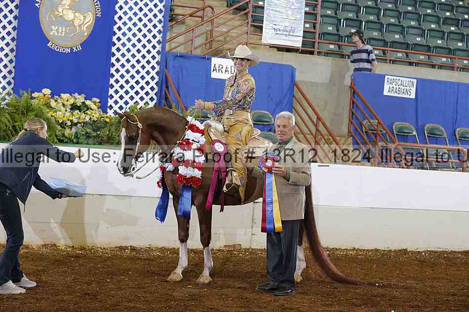 Proof Number 13r12_1824