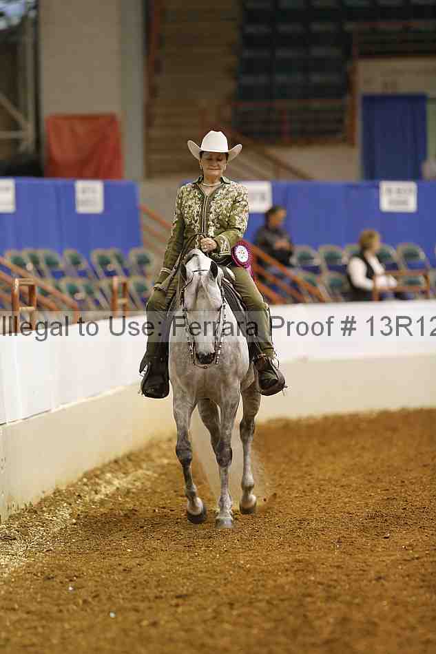 Proof Number 13r12_1828