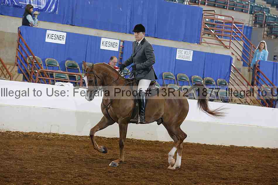 Proof Number 13r12_1877