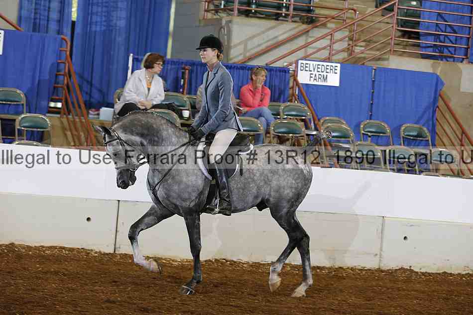 Proof Number 13r12_1890