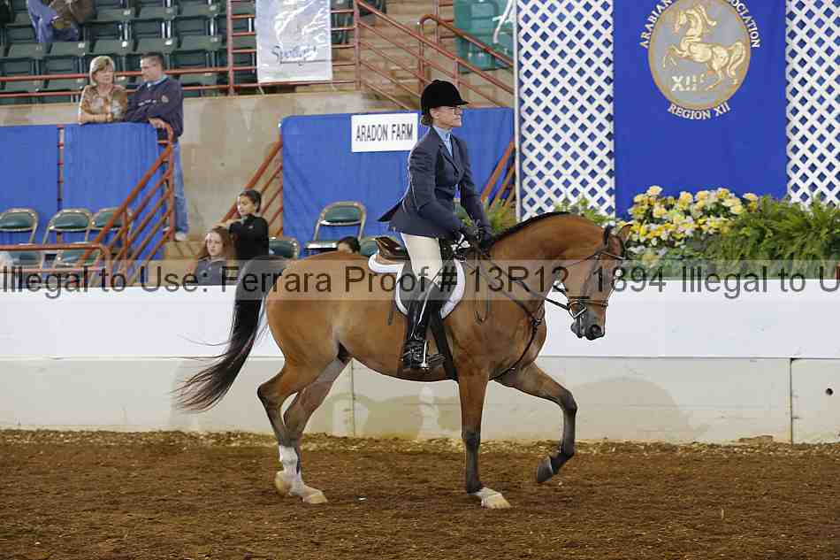 Proof Number 13r12_1894