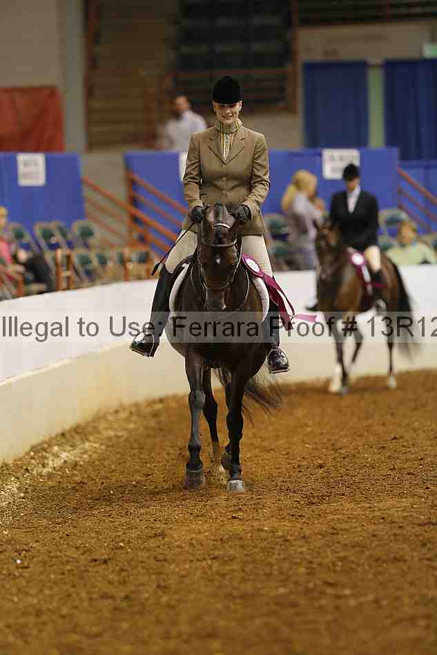 Proof Number 13r12_1911