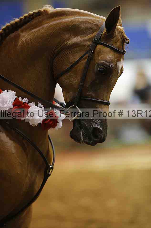 Proof Number 13r12_1928