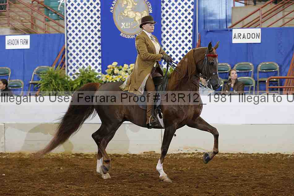 Proof Number 13r12_1981