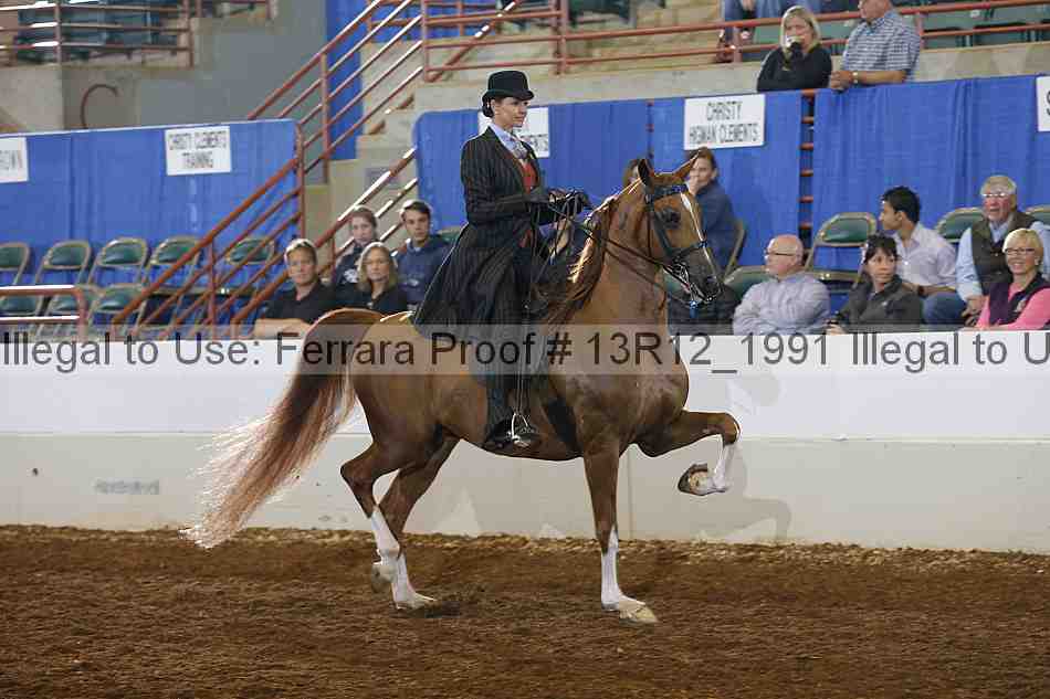 Proof Number 13r12_1991