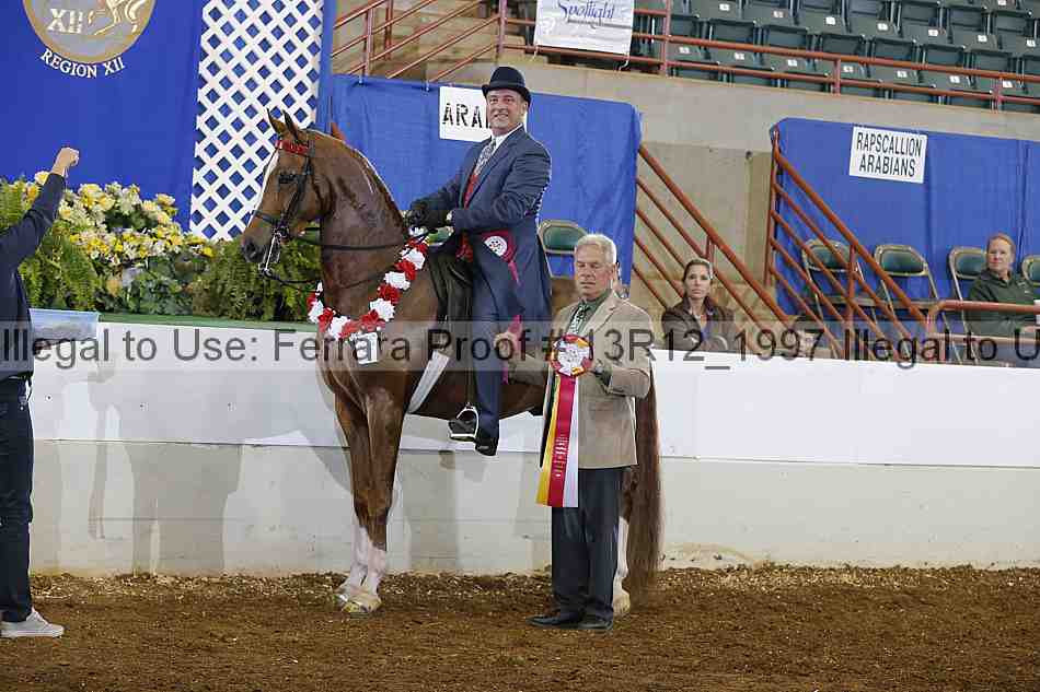 Proof Number 13r12_1997