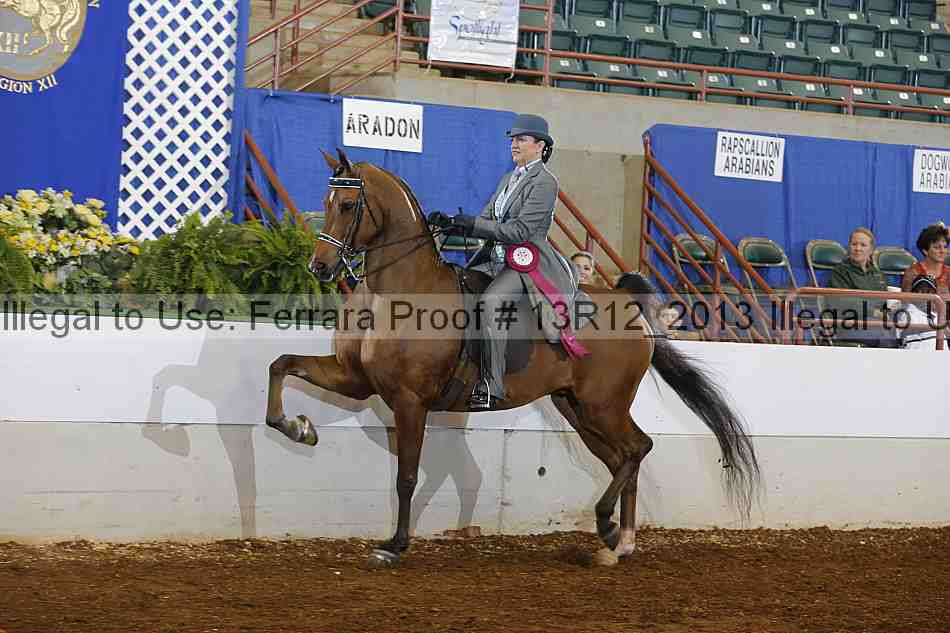 Proof Number 13r12_2013