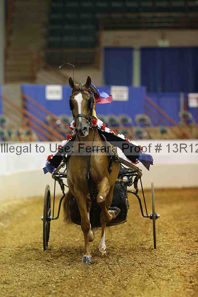 Proof Number 13r12_2075