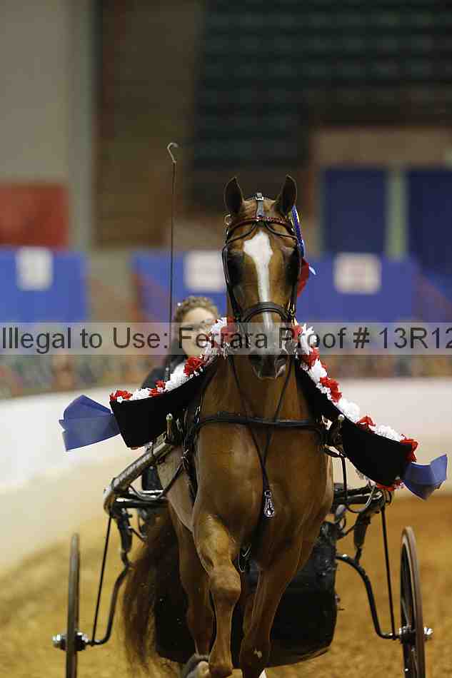 Proof Number 13r12_2076