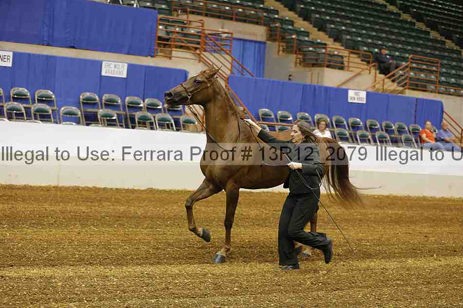 Proof Number 13r12_2079