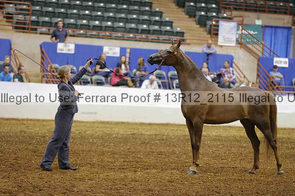 Proof Number 13r12_2115