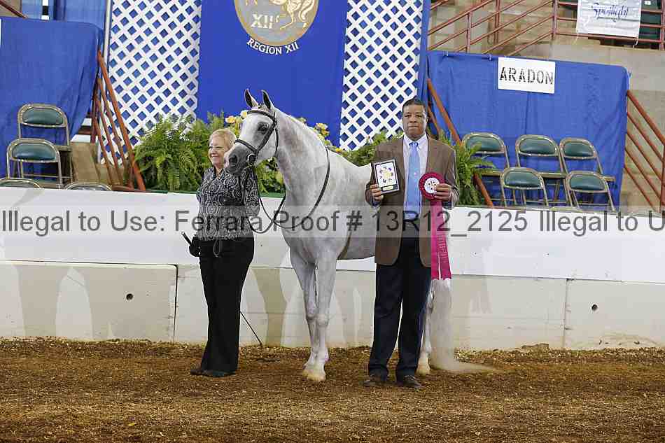 Proof Number 13r12_2125