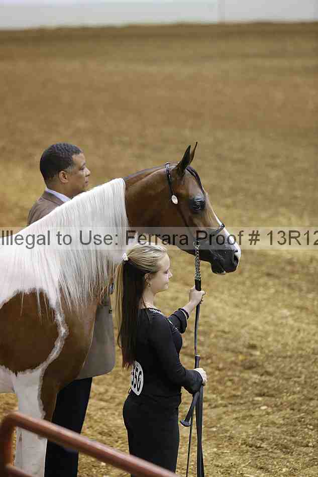 Proof Number 13r12_2130