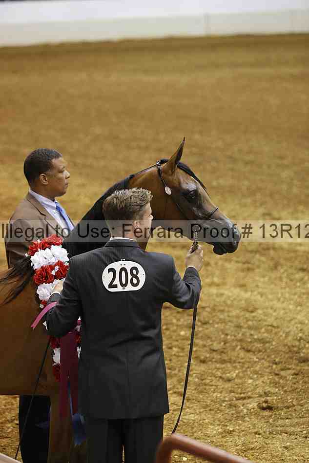 Proof Number 13r12_2139