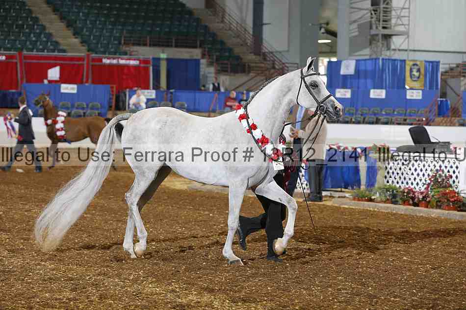 Proof Number 13r12_2141