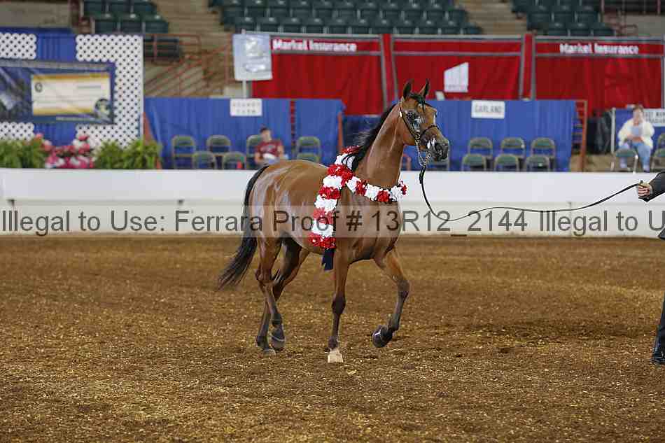 Proof Number 13r12_2144