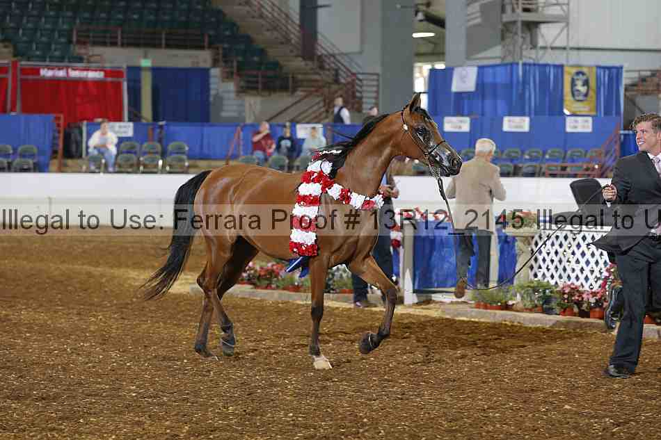 Proof Number 13r12_2145
