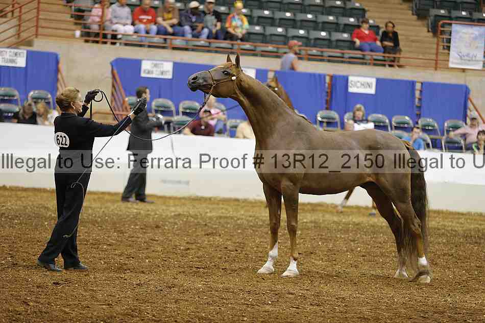 Proof Number 13r12_2150