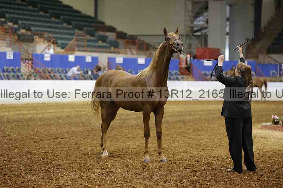 Proof Number 13r12_2165