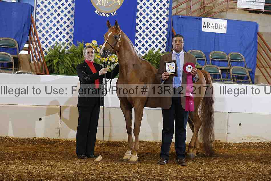 Proof Number 13r12_2171
