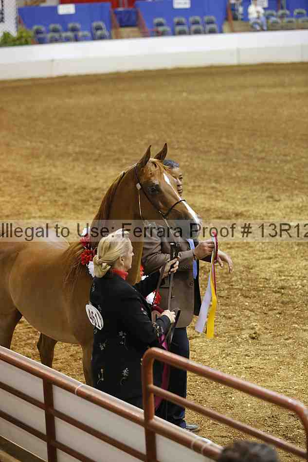 Proof Number 13r12_2176