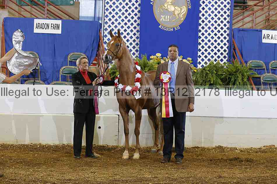 Proof Number 13r12_2178