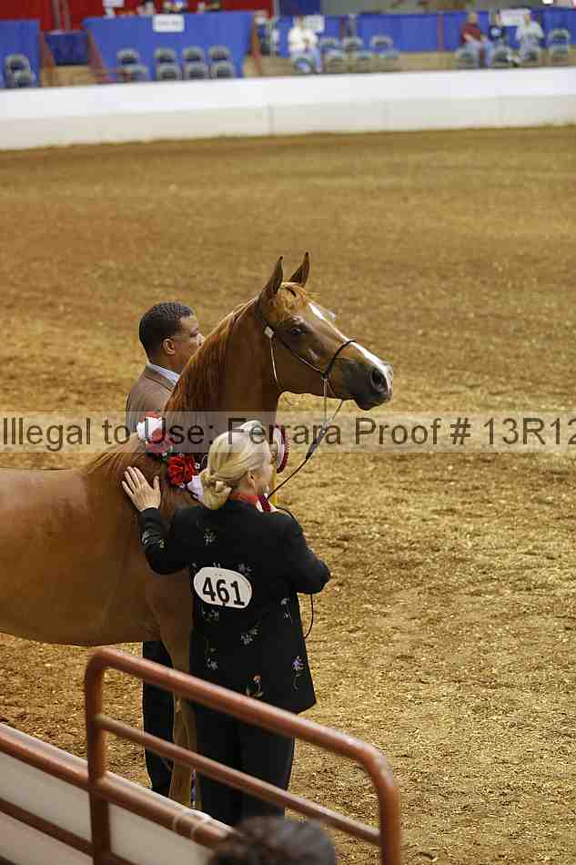 Proof Number 13r12_2179