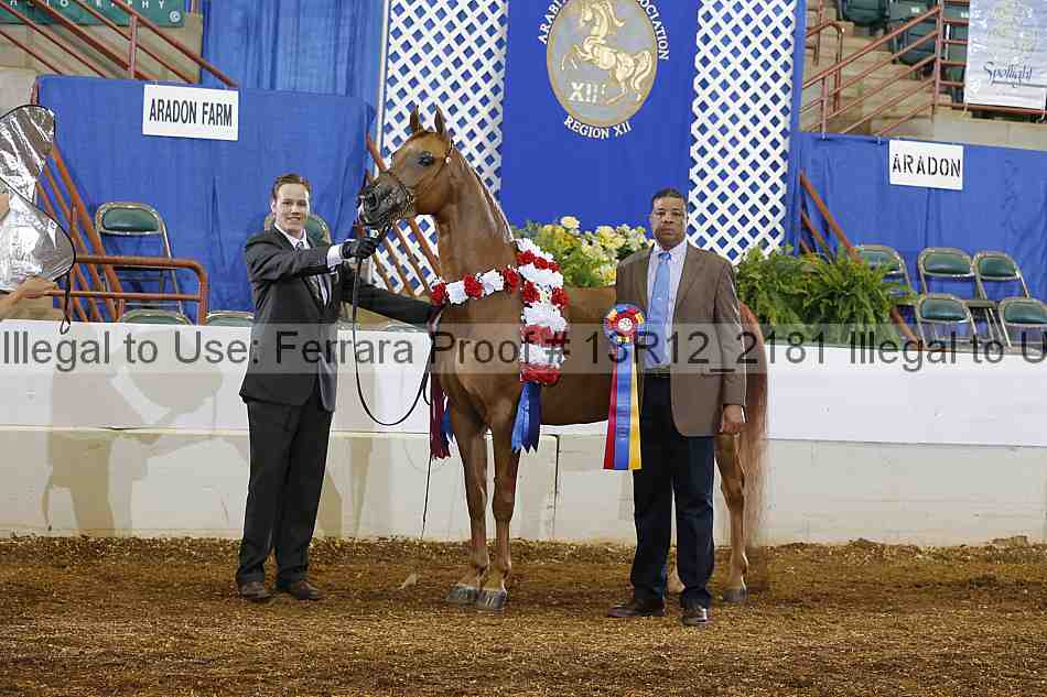 Proof Number 13r12_2181