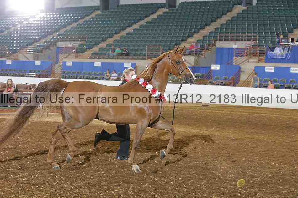 Proof Number 13r12_2183