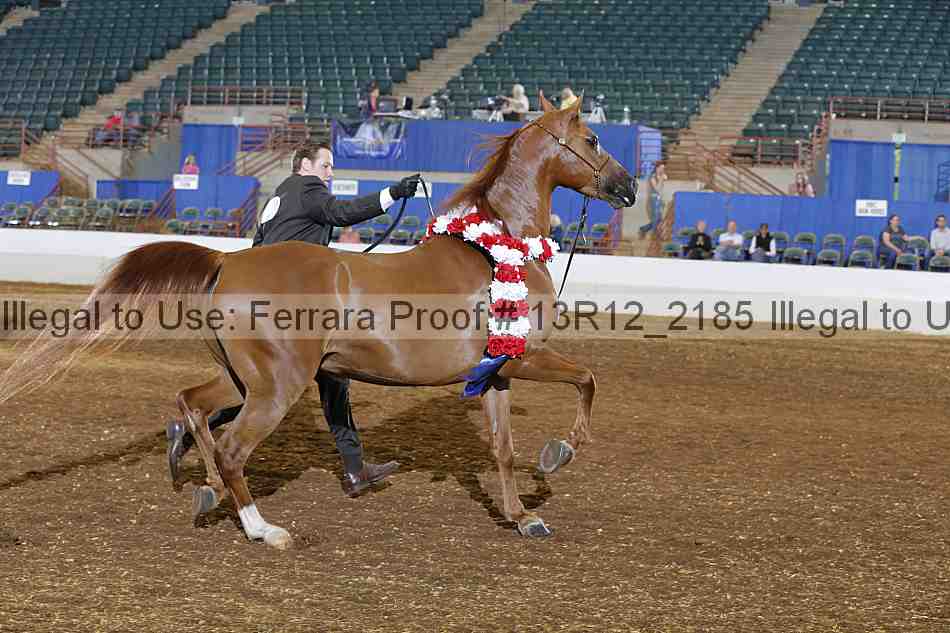 Proof Number 13r12_2185