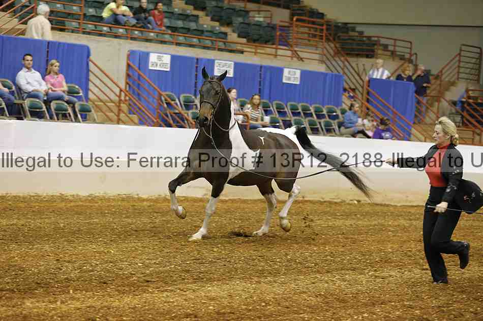 Proof Number 13r12_2188
