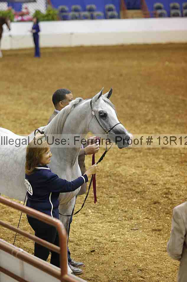 Proof Number 13r12_2213