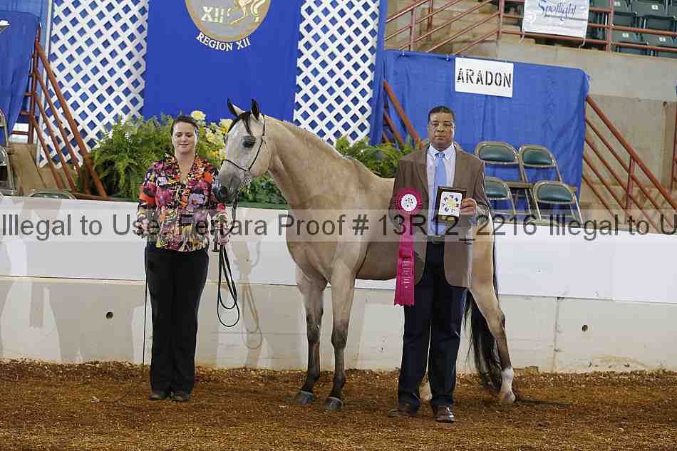 Proof Number 13r12_2216