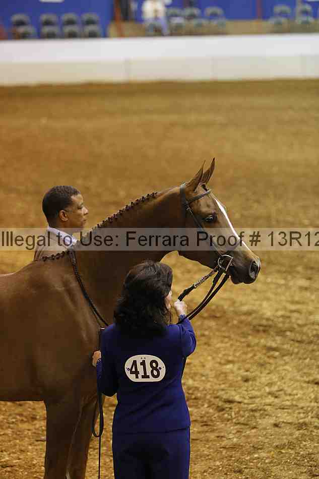 Proof Number 13r12_2220