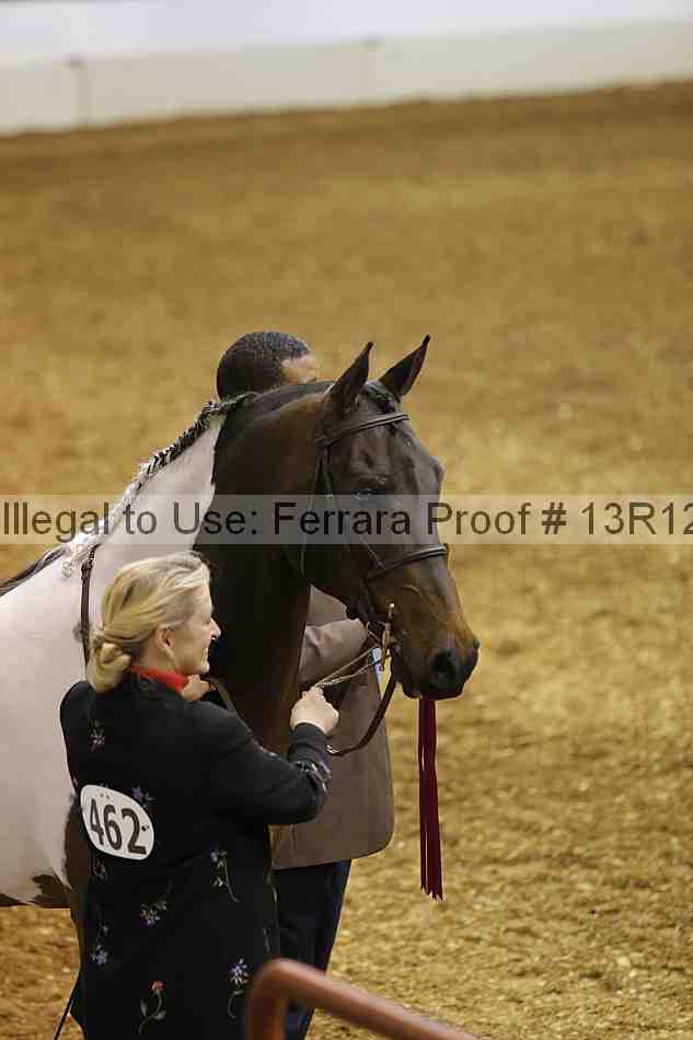 Proof Number 13r12_2228
