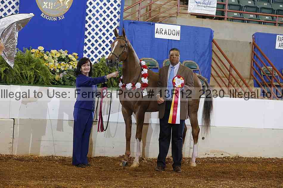 Proof Number 13r12_2230