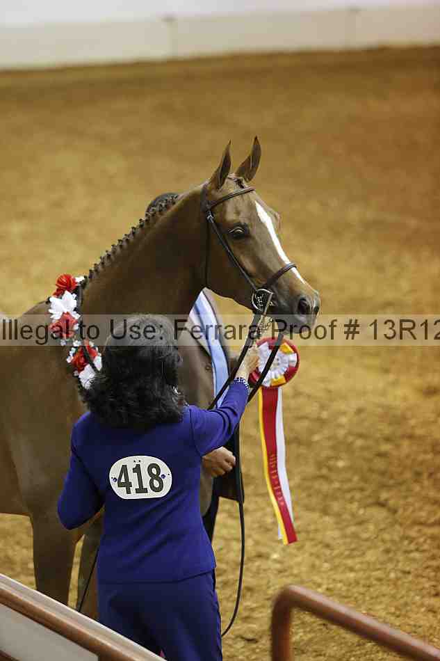 Proof Number 13r12_2232