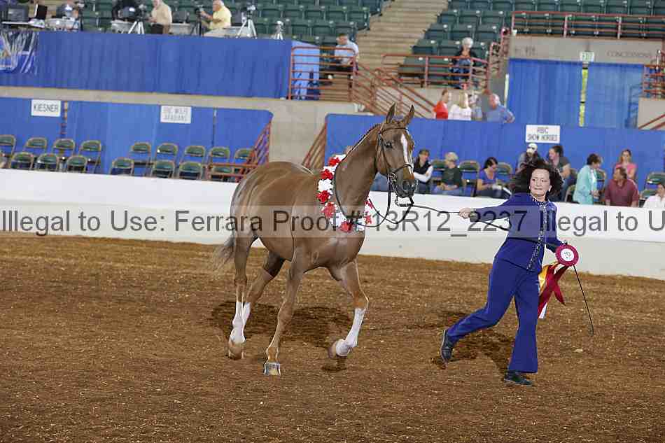 Proof Number 13r12_2237