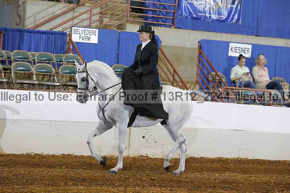 Proof Number 13r12_2244