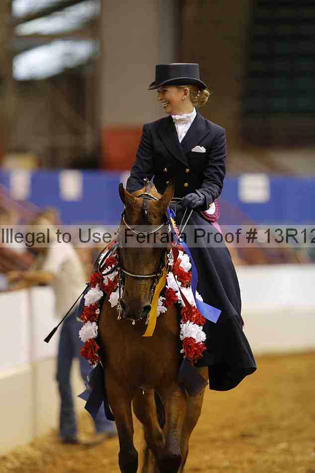 Proof Number 13r12_2261