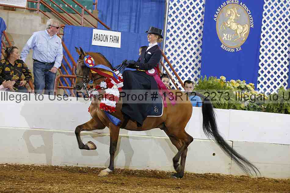 Proof Number 13r12_2273