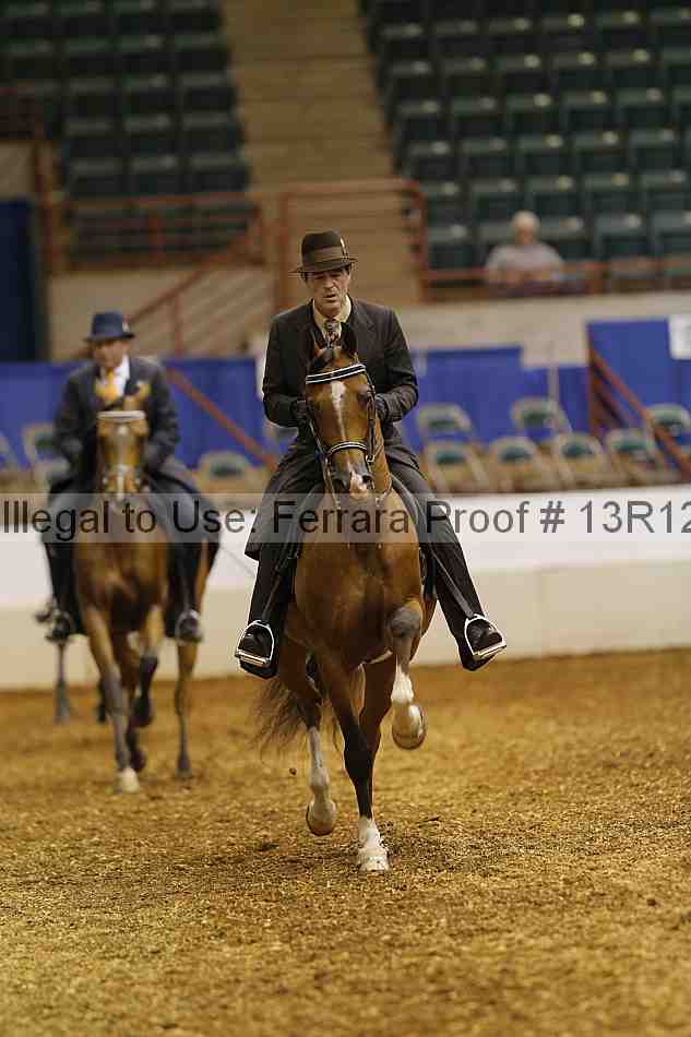 Proof Number 13r12_2306