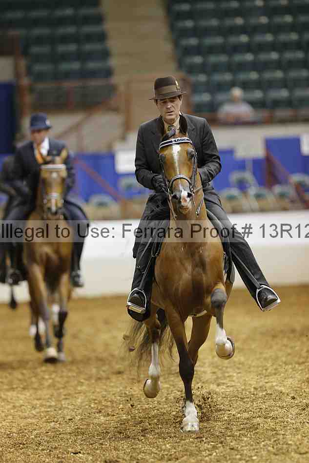 Proof Number 13r12_2307
