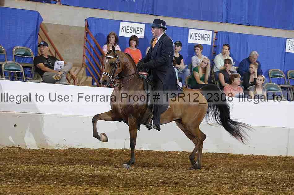 Proof Number 13r12_2308