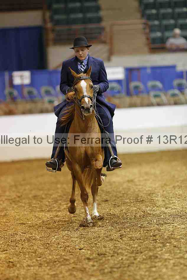 Proof Number 13r12_2309