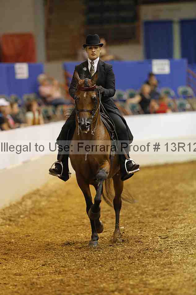Proof Number 13r12_2310